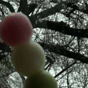 ヒメ日記 2026/03/28 14:09 投稿 ゆな 素人妻御奉仕倶楽部Hip's松戸店