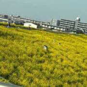 ヒメ日記 2026/03/30 14:19 投稿 ゆな 素人妻御奉仕倶楽部Hip's松戸店