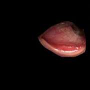 ヒメ日記 2026/04/10 09:29 投稿 ゆな 素人妻御奉仕倶楽部Hip's松戸店