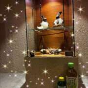 ヒメ日記 2026/04/17 15:39 投稿 ゆな 素人妻御奉仕倶楽部Hip's松戸店