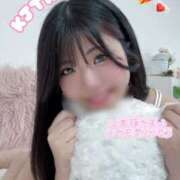 ヒメ日記 2025/09/19 14:05 投稿 れい 素人系イメージSOAP 彼女感 宇都宮本館