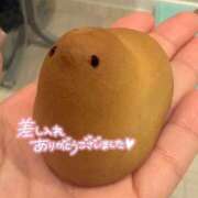 ヒメ日記 2026/06/12 02:15 投稿 れい 素人系イメージSOAP 彼女感 宇都宮本館