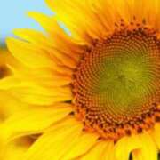 まい 🙈変更ー ぷるるんマダム 難波店