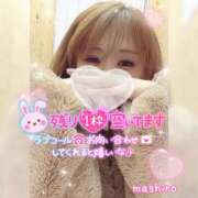 ヒメ日記 2024/12/10 11:30 投稿 真白(ましろ) 相模原人妻城