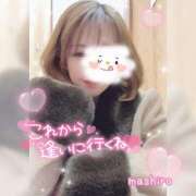 ヒメ日記 2024/12/11 16:27 投稿 真白(ましろ) 相模原人妻城