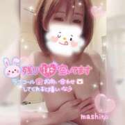 ヒメ日記 2024/12/14 18:57 投稿 真白(ましろ) 相模原人妻城