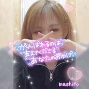 ヒメ日記 2024/12/15 14:00 投稿 真白(ましろ) 相模原人妻城