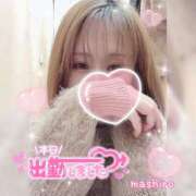 ヒメ日記 2024/12/21 16:30 投稿 真白(ましろ) 相模原人妻城