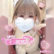 ヒメ日記 2025/01/22 16:33 投稿 真白(ましろ) 相模原人妻城