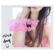 ヒメ日記 2025/03/29 12:18 投稿 真白(ましろ) 相模原人妻城