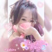 ヒメ日記 2025/03/30 13:18 投稿 真白(ましろ) 相模原人妻城