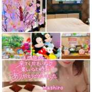 ヒメ日記 2025/04/19 00:03 投稿 真白(ましろ) 相模原人妻城