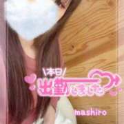 ヒメ日記 2025/04/26 16:18 投稿 真白(ましろ) 相模原人妻城