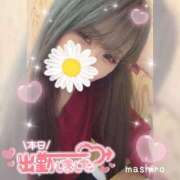 ヒメ日記 2025/04/29 17:33 投稿 真白(ましろ) 相模原人妻城