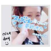 ヒメ日記 2025/05/15 12:27 投稿 真白(ましろ) 相模原人妻城