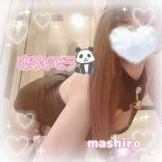 ヒメ日記 2025/06/06 09:18 投稿 真白(ましろ) 相模原人妻城