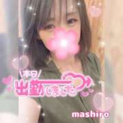 ヒメ日記 2025/06/15 15:18 投稿 真白(ましろ) 相模原人妻城