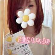 ヒメ日記 2025/08/10 16:18 投稿 真白(ましろ) 相模原人妻城