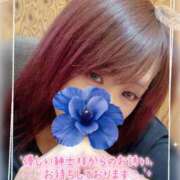 ヒメ日記 2025/08/23 11:54 投稿 真白(ましろ) 相模原人妻城