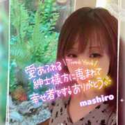 ヒメ日記 2025/08/24 12:03 投稿 真白(ましろ) 相模原人妻城