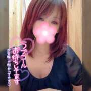 ヒメ日記 2025/08/29 11:51 投稿 真白(ましろ) 相模原人妻城