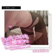 ヒメ日記 2025/09/24 11:51 投稿 真白(ましろ) 相模原人妻城