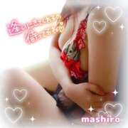 ヒメ日記 2025/11/12 11:57 投稿 真白(ましろ) 相模原人妻城