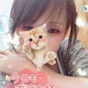 ヒメ日記 2025/12/04 20:18 投稿 真白(ましろ) 相模原人妻城