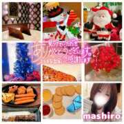 ヒメ日記 2025/12/11 11:48 投稿 真白(ましろ) 相模原人妻城