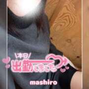 ヒメ日記 2026/01/24 16:33 投稿 真白(ましろ) 相模原人妻城