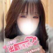 ヒメ日記 2026/01/30 16:42 投稿 真白(ましろ) 相模原人妻城