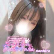 ヒメ日記 2026/02/04 12:27 投稿 真白(ましろ) 相模原人妻城