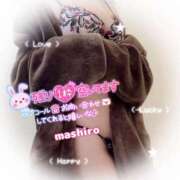 ヒメ日記 2026/02/17 11:48 投稿 真白(ましろ) 相模原人妻城