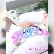 ヒメ日記 2026/02/20 11:48 投稿 真白(ましろ) 相模原人妻城