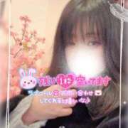 ヒメ日記 2026/03/22 14:03 投稿 真白(ましろ) 相模原人妻城