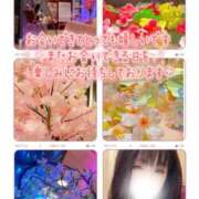 ヒメ日記 2026/03/30 14:33 投稿 真白(ましろ) 相模原人妻城