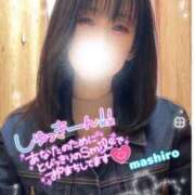 ヒメ日記 2026/04/08 16:18 投稿 真白(ましろ) 相模原人妻城