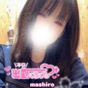 ヒメ日記 2026/04/10 16:42 投稿 真白(ましろ) 相模原人妻城