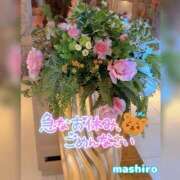 ヒメ日記 2026/06/05 14:03 投稿 真白(ましろ) 相模原人妻城