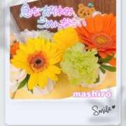 ヒメ日記 2026/07/14 19:18 投稿 真白(ましろ) 相模原人妻城