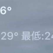 ヒメ日記 2024/07/11 10:37 投稿 涼森ゆあ ハプニング痴漢電車or全裸入室