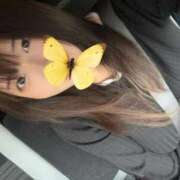 白浜ゆり ごめんなさい明日難しいです 五反田ウルトラファンタジー