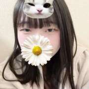 ヒメ日記 2025/02/08 12:23 投稿 三笠かのん 五反田 必要以上のエステ（シンデレラグループ）