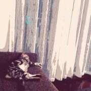 ヒメ日記 2024/12/15 01:15 投稿 倉田 ミオン 熟女・人妻マダム宮殿