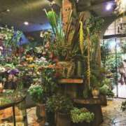 ヒメ日記 2025/01/08 18:04 投稿 倉田 ミオン 熟女・人妻マダム宮殿