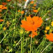 ヒメ日記 2025/01/08 22:02 投稿 倉田 ミオン 熟女・人妻マダム宮殿