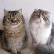 ヒメ日記 2025/01/22 15:00 投稿 倉田 ミオン 熟女・人妻マダム宮殿