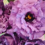 ヒメ日記 2025/01/24 12:27 投稿 倉田 ミオン 熟女・人妻マダム宮殿