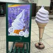 ヒメ日記 2025/01/29 12:04 投稿 倉田 ミオン 熟女・人妻マダム宮殿