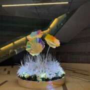 ヒメ日記 2025/01/30 21:31 投稿 倉田 ミオン 熟女・人妻マダム宮殿